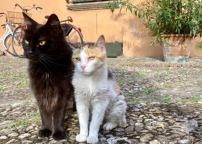 Lo Di Giulia - Romantic Terrace * 볼로냐