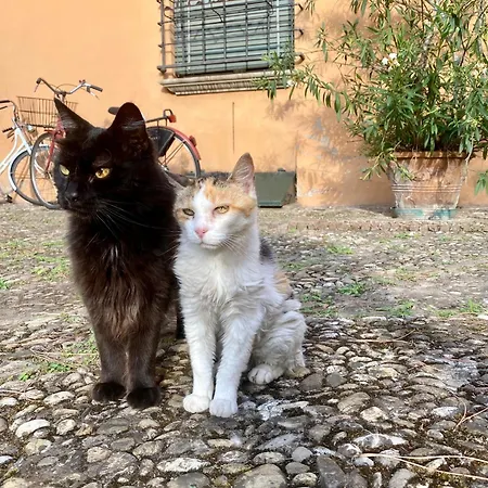 Lo Di Giulia - Romantic Terrace * 볼로냐